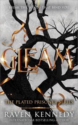 Gleam cover